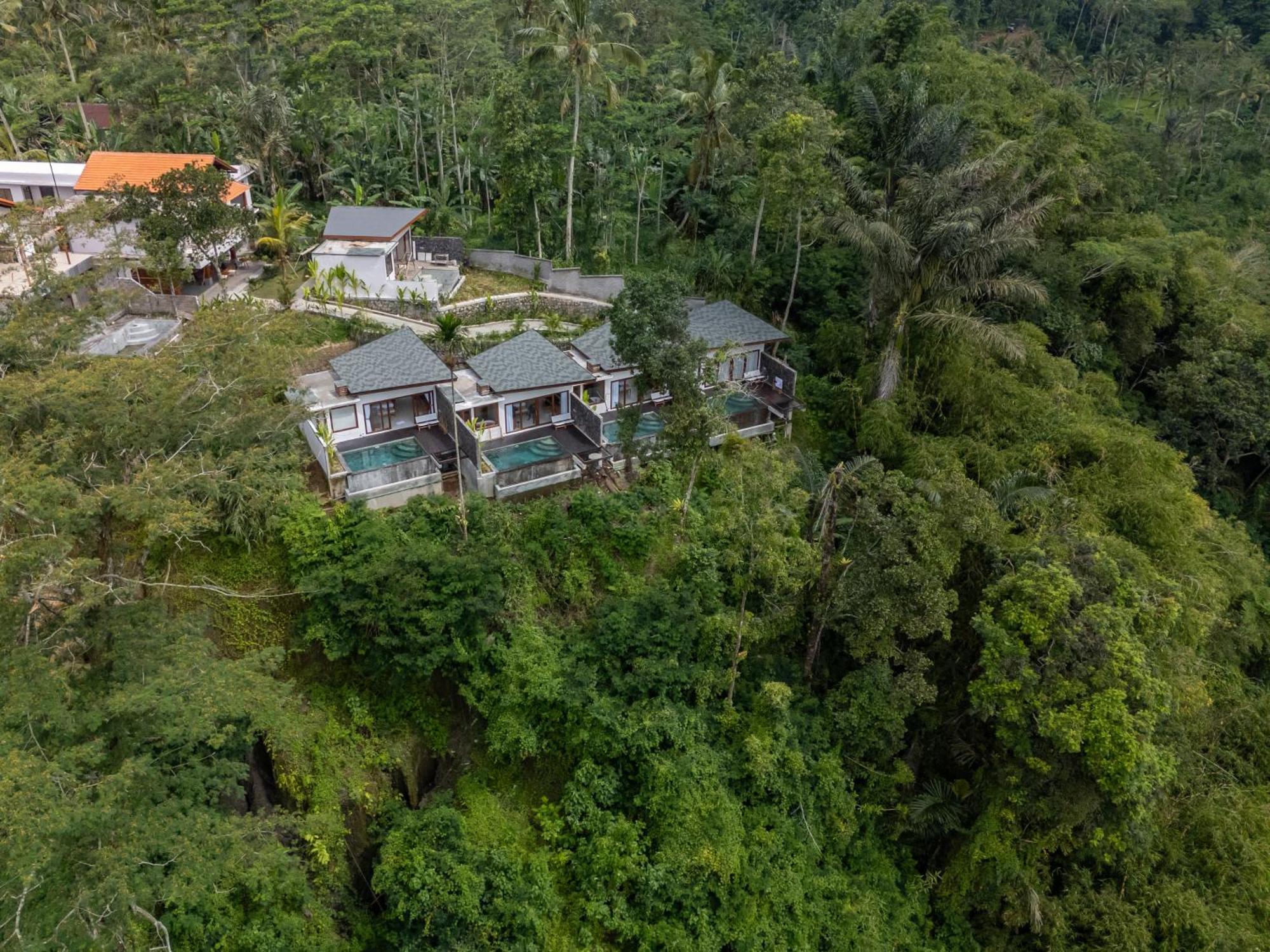 Micaela Bali Ubud विला *
