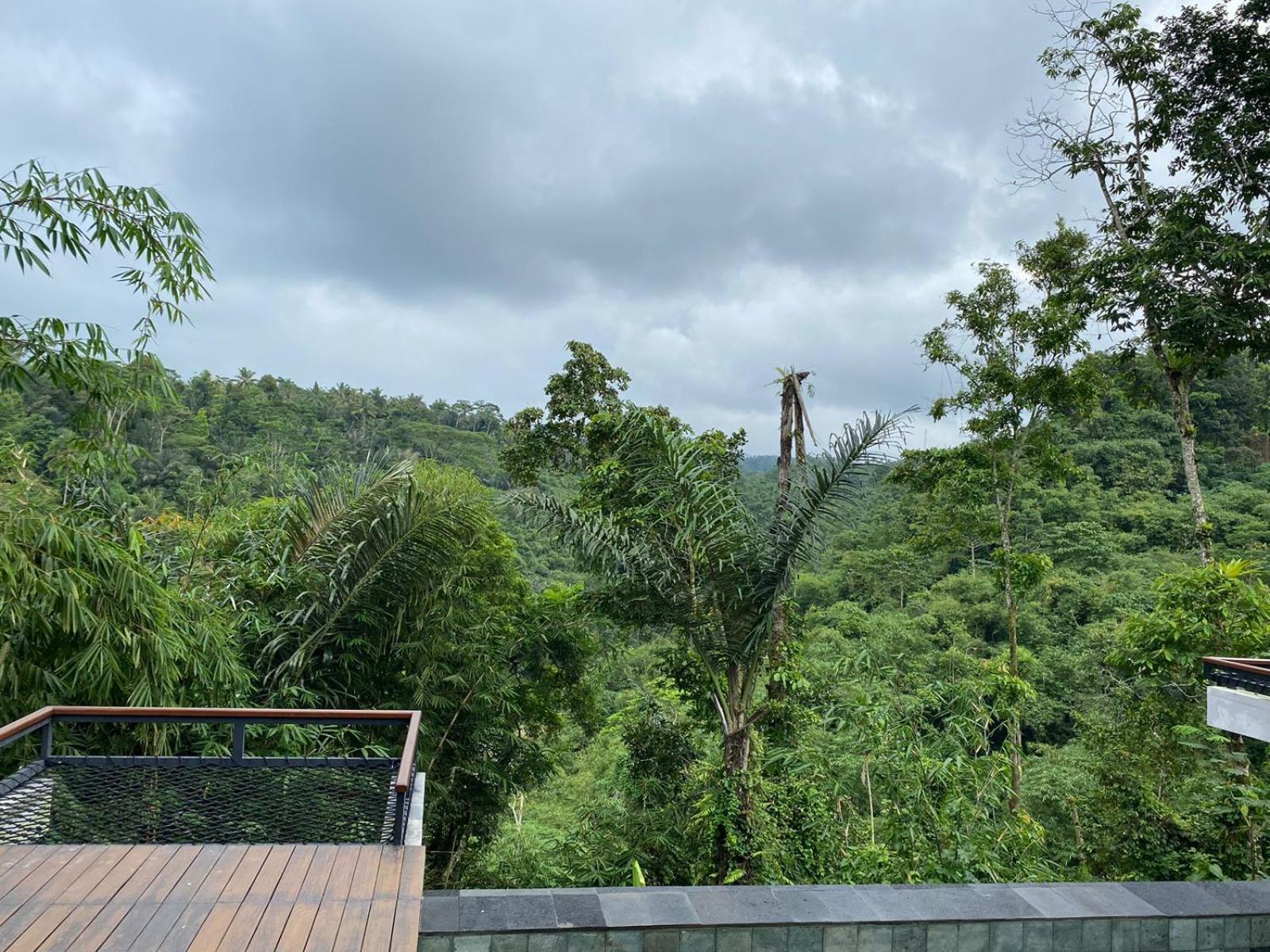 Micaela Bali Ubud विला